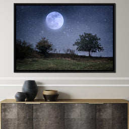 Beautiful Moonlight - NicheCanvas