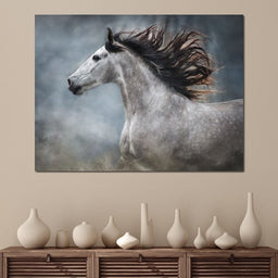 andalusian horse - NicheCanvas