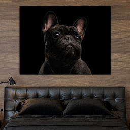 Black French Bulldog - NicheCanvas