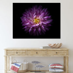 Backyard Flowers Series 1 - Brian Carson - NicheCanvas