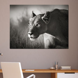 Lioness - NicheCanvas