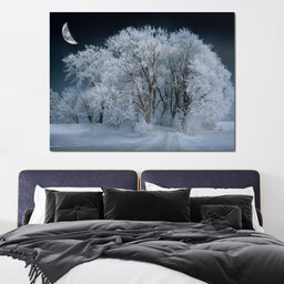 Winter Snow Forest - Johanjjf - NicheCanvas