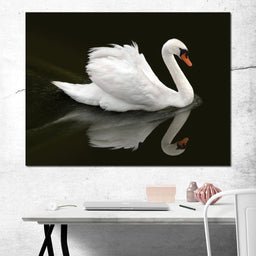 Swan - Ben Heine - NicheCanvas