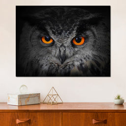 Black & White Owl with Orange Eyes - NicheCanvas