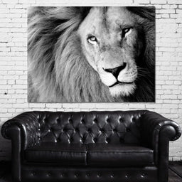 Lion Portrait - NicheCanvas