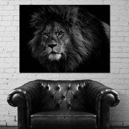 Majestic - Johanjjf - NicheCanvas