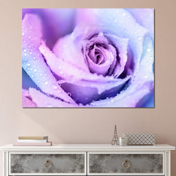 Winter Rose - NicheCanvas