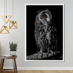 Black & White Owl - NicheCanvas
