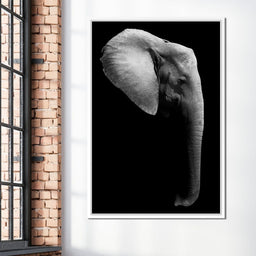 Black and White Elephant Head - NicheCanvas