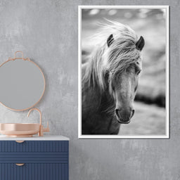 Icelandic Horse - NicheCanvas