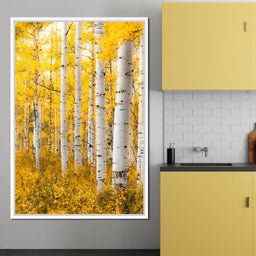 Yellow Forest - Colorado - Lucas Moore - NicheCanvas