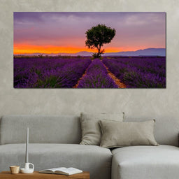 Provence Sunset - NicheCanvas