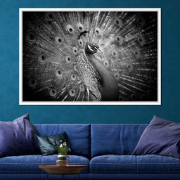 Black and White Peacock - NicheCanvas