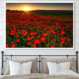 Red Poppies Field - NicheCanvas