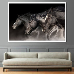 Three Black Stallions - NicheCanvas
