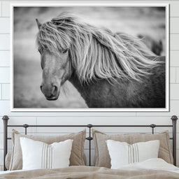 Icelandic Horse in Black & White - NicheCanvas