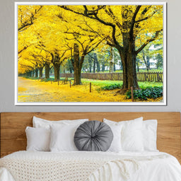 Yellow Ginkgo Trees - NicheCanvas