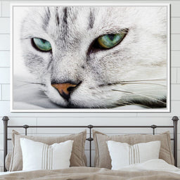 Cat Relaxing - NicheCanvas