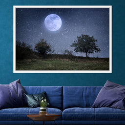 Beautiful Moonlight - NicheCanvas