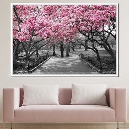 Pink Blossoms in Black and White - NicheCanvas