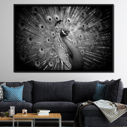 Black and White Peacock - NicheCanvas