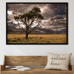 Stormy Afternoon - NicheCanvas