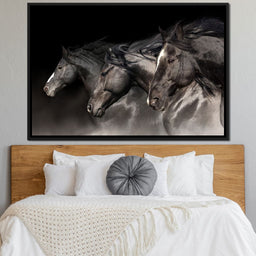 Three Black Stallions - NicheCanvas