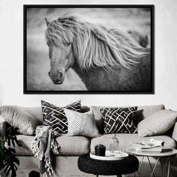 Icelandic Horse in Black & White - NicheCanvas