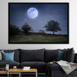 Beautiful Moonlight - NicheCanvas