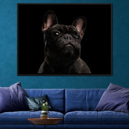 Black French Bulldog - NicheCanvas