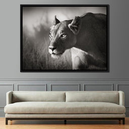 Lioness - NicheCanvas