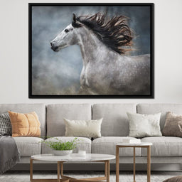 andalusian horse - NicheCanvas