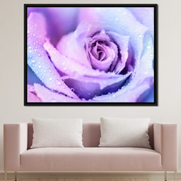Winter Rose - NicheCanvas