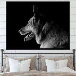Black and White German Shepherd - NicheCanvas