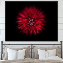 Backyard Flowers 45 - Brian Carson - NicheCanvas