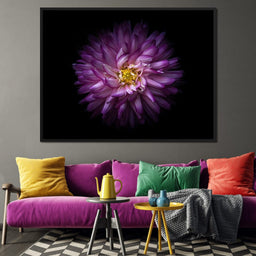 Backyard Flowers Series 1 - Brian Carson - NicheCanvas