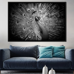 Black and White Peacock - NicheCanvas