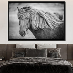 Icelandic Horse in Black & White - NicheCanvas