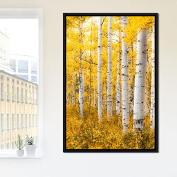 Yellow Forest - Colorado - Lucas Moore - NicheCanvas