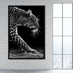 Black and white Leopard - NicheCanvas