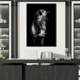 Black & White Horse Head - NicheCanvas