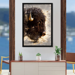 American Bison - NicheCanvas