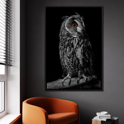 Black & White Owl - NicheCanvas