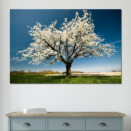 White Tree - NicheCanvas