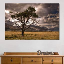 Stormy Afternoon - NicheCanvas