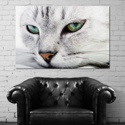 Cat Relaxing - NicheCanvas
