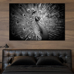 Black and White Peacock - NicheCanvas