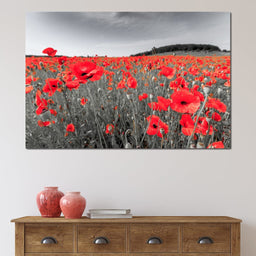 Flanders Fields - NicheCanvas