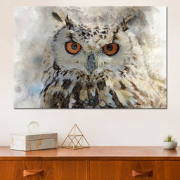 Eurasian Owl  - NicheCanvas