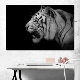 Black and White Tiger Profile - NicheCanvas
